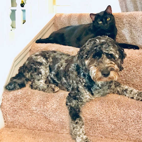 Simple, classic, random with a dash of sparkle - Picture 4 of 4